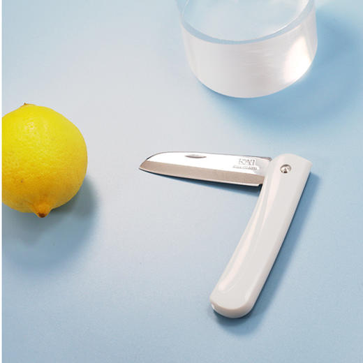 KAI贝印夏日水果刀家用厨房工具不锈钢水果刀削皮【不支持补差，非质量问题不退不换】S 商品图3