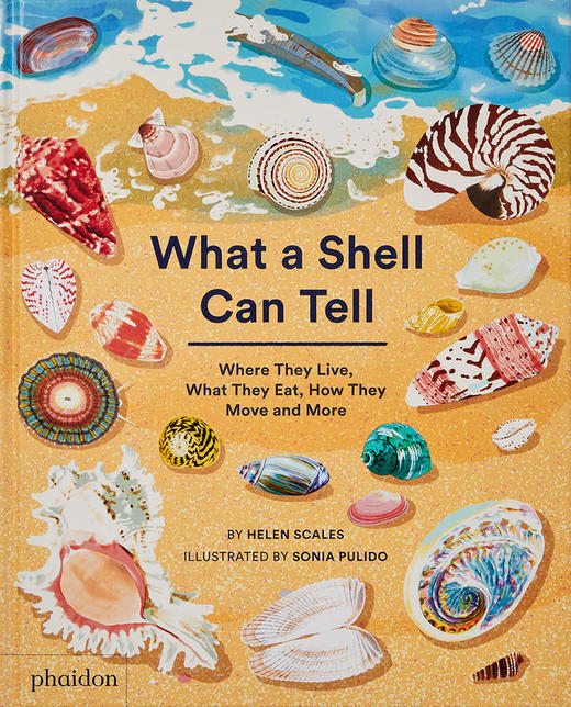 贝壳能告诉你什么 英文原版 What A Shell Can Tell 商品图0