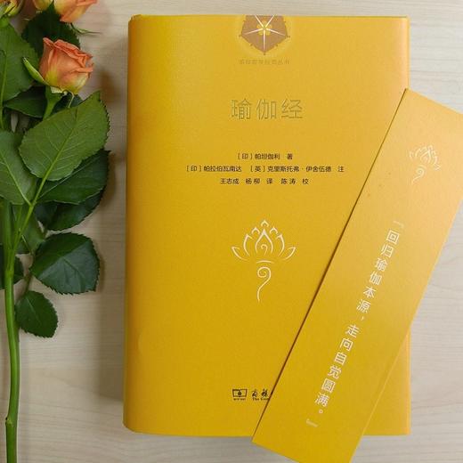 瑜伽经（瑜伽哲学经典丛书） 商品图3