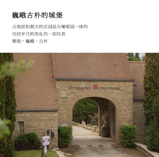 【金丘上夜丘村级庄独占园AOC】雪狐庄园上夜丘独占园干白葡萄酒 独占园AOC 13%vol 商品图4