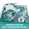 雨林里 枝叶间 3-6岁 凯特·梅斯纳 著 儿童绘本 商品缩略图2