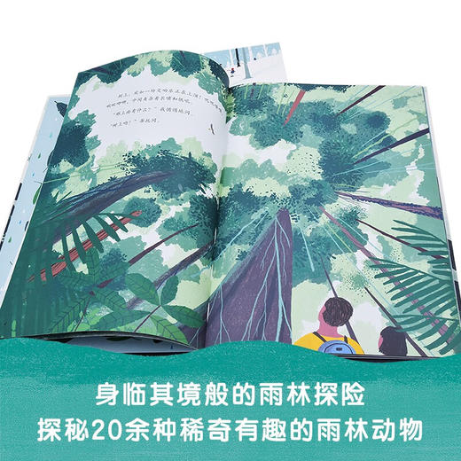 雨林里 枝叶间 3-6岁 凯特·梅斯纳 著 儿童绘本 商品图2