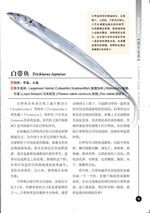 菜市场鱼图鉴(自然观察丛书) 商品图7