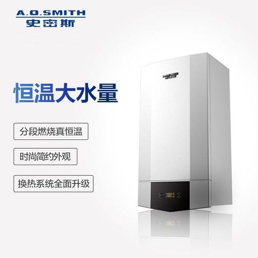 L1PB26-A1 A.O.史密斯采暖热水两用炉 商品图0