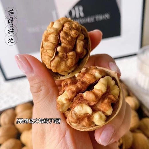 阿克苏纸皮核桃2斤礼盒装 商品图4