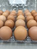 限世纪城万柳沁山水紫金长安地址：伊势~可生食鲜鸡蛋【原箱90枚 匹配最新日期发货】 商品缩略图1