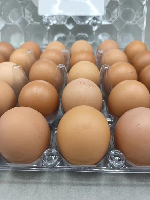 限世纪城万柳沁山水紫金长安地址：伊势~可生食鲜鸡蛋【原箱90枚 匹配最新日期发货】 商品图1