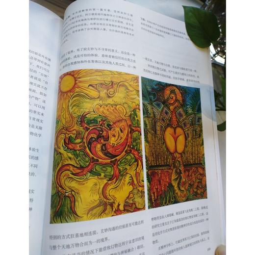 众神的植物 商品图5