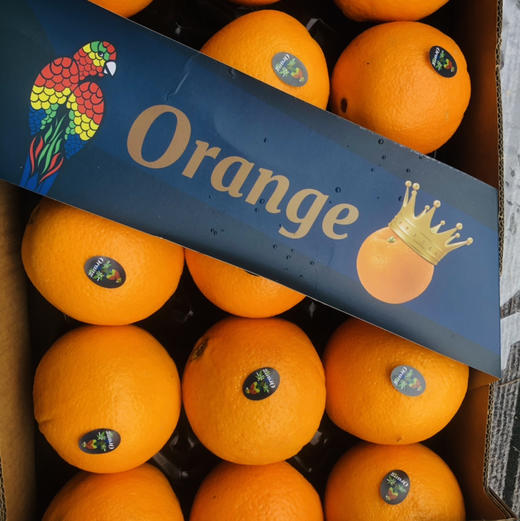 进口皇冠橙，个头超大，晚期脐橙，嫩甜多汁性价比超高的橙子，单果400g左右15只/箱 商品图0