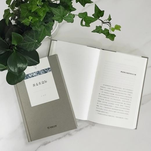 游走在边际（光启文库） 商品图1