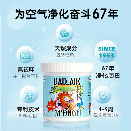 美国Bad Air Sponge badair空气净化剂新房汽车除甲醛去异味清除剂 商品图1