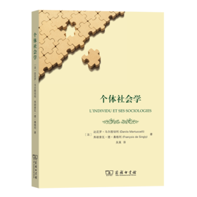 个体社会学   [法]达尼罗·马尔图切利 [法]弗朗索瓦·德·桑格利 著   吴真 译   商务印书