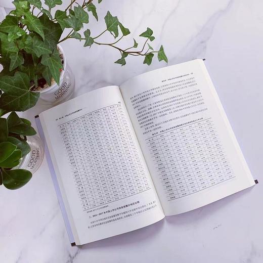 2017中国上市公司治理评价研究报告 商品图3