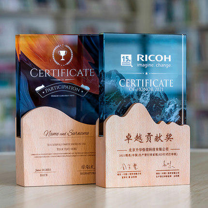 志愿者水晶奖杯定制实木创意荣誉奖牌优秀员工周年庆退休纪念品 商品图2