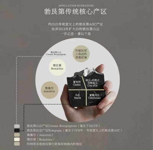 【金丘上夜丘村级庄独占园AOC】雪狐庄园上夜丘独占园干白葡萄酒 独占园AOC 13%vol 商品图6