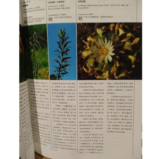 众神的植物 商品图2