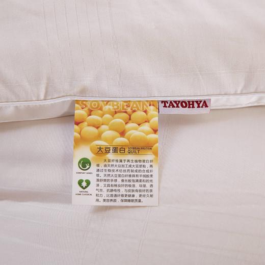【专柜多样屋】优雅大豆纤维健康被 商品图2