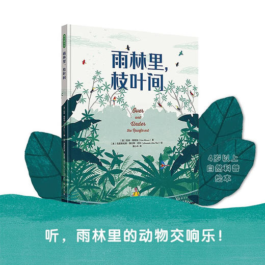 雨林里 枝叶间 3-6岁 凯特·梅斯纳 著 儿童绘本 商品图1