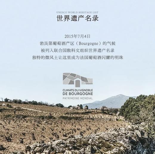 【金丘上夜丘村级庄独占园AOC】雪狐庄园上夜丘独占园干白葡萄酒 独占园AOC 13%vol 商品图7