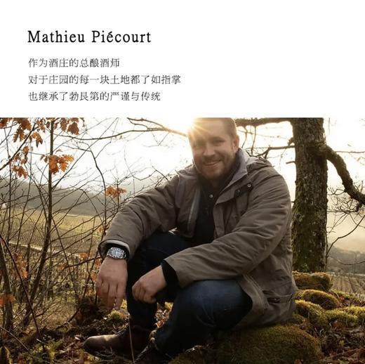 【金丘上夜丘村级庄独占园AOC】雪狐庄园上夜丘独占园干白葡萄酒 独占园AOC 13%vol 商品图5