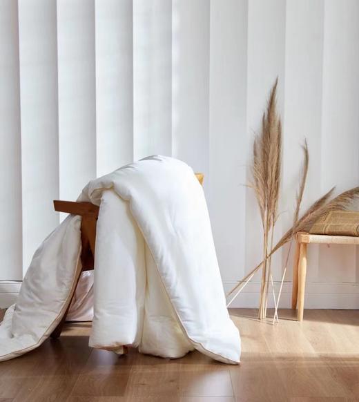 学生针织春秋被/大豆冬被 商品图2