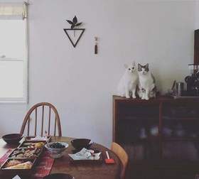 21岁单亲妈妈一句话惹哭全网：成年人的世界，不想认命只能拼命