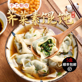 纯素馄饨300g/盒  5盒共60只  馄饨早餐速食手工荠菜云吞【冷冻】5盒顺丰包邮