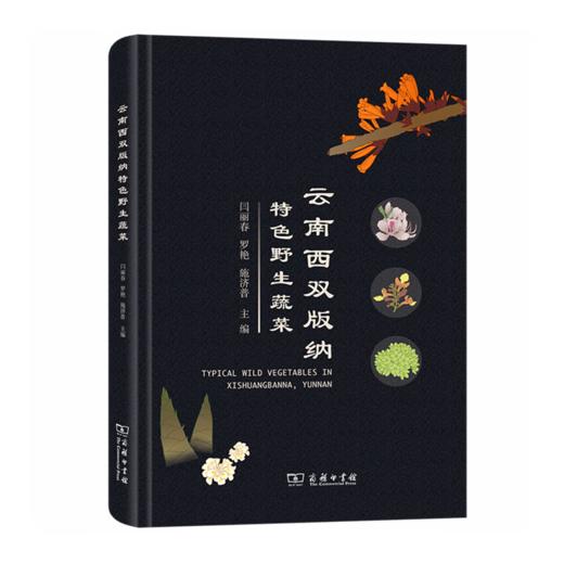 云南西双版纳特色野生蔬菜 闫丽春 罗艳 施济普 主编 商务印书馆 商品图0