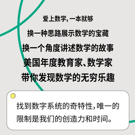 数学可以这样有趣  数学 几何 代数 概率 趣味微积分 商品图2