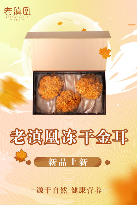 【买2送1】老滇凰冻干金耳 商品图1