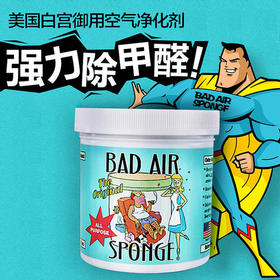 美国Bad Air Sponge badair空气净化剂新房汽车除甲醛去异味清除剂