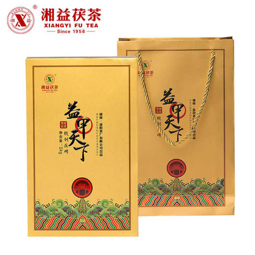 黑茶丨湘益 茯茶 2018年 益甲天下五年陈 1KG 商品图0