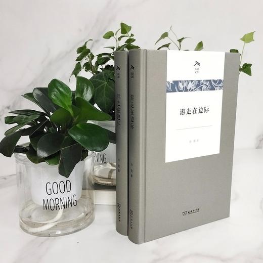 游走在边际（光启文库） 商品图2
