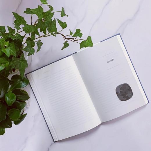 进学丛谈（光启文库） 商品图4