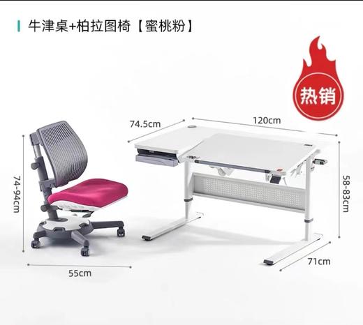 9楼大将作 康朴乐牛津套餐儿童学习桌套装 吊牌价：18780元 活动价：10980元 商品图0