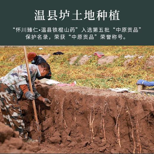 正宗温县铁棍山药粉怀山药无添加营养早餐代餐冲饮粉独立装 商品图7