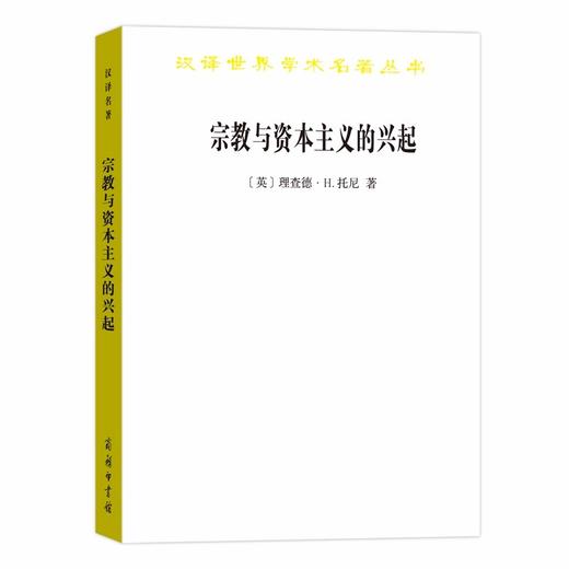 宗教与资本主义的兴起（汉译世界学术名著丛书） 商品图0