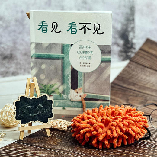 初高中生心理解忧杂货铺2册 心事大侦tan+看见 看不见学生自助手册 心理教师进行心理学指导 商品图3