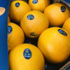 进口皇冠橙，个头超大，晚期脐橙，嫩甜多汁性价比超高的橙子，单果400g左右15只/箱 商品缩略图13