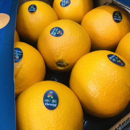 进口皇冠橙，个头超大，晚期脐橙，嫩甜多汁性价比超高的橙子，单果400g左右15只/箱 商品图13