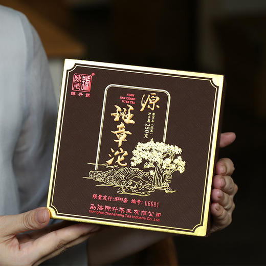 生普丨陈升号 2022年 源班章沱 250克 商品图5