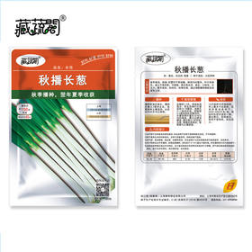 [庭院种子] 秋播长葱 "长悦"