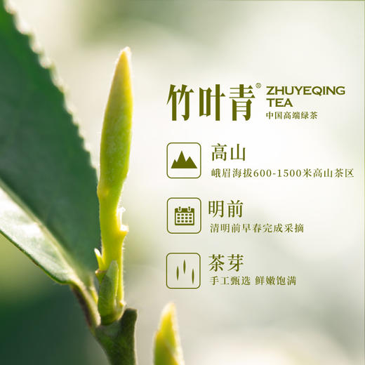 【2025春茶现货】竹叶青峨眉高山绿茶2025年新茶明前茶芽特级(品味)自饮装45g 商品图6