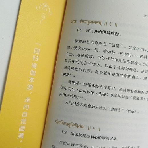 瑜伽经（瑜伽哲学经典丛书） 商品图1