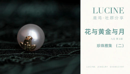 珍珠雅集（二） 商品图0