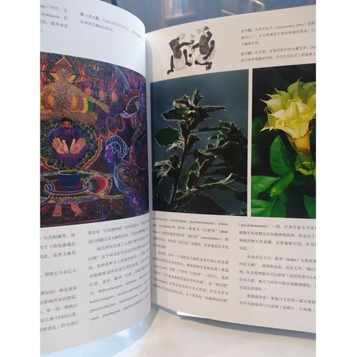 众神的植物 商品图7