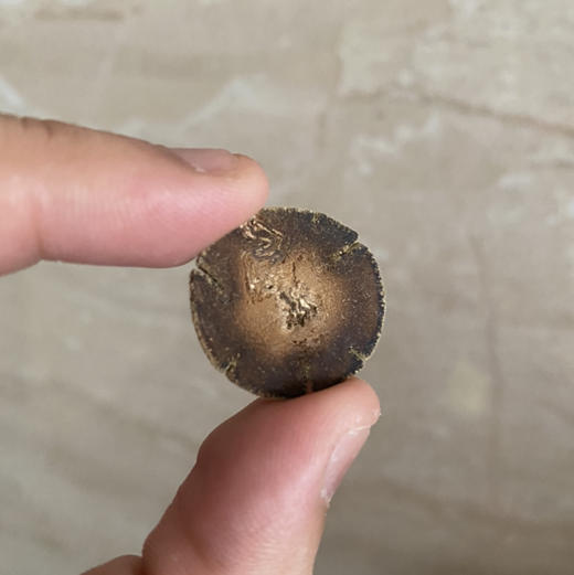 化州化橘红（柿子陶瓷罐装） 商品图5