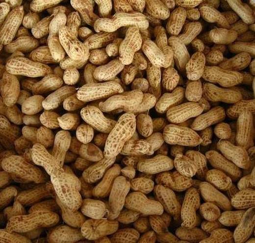 有机鲜花生 商品图0