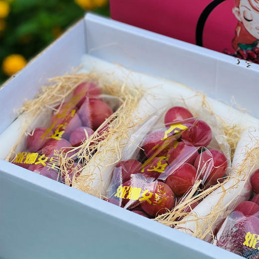 妮娜皇后葡萄  |  是欧美杂交种中最优秀的唯一的鲜红色、巨大粒品种，糖度可达25-27度。颗颗又大 又红，浑圆饱满，浑身透着高级感~ 商品图5