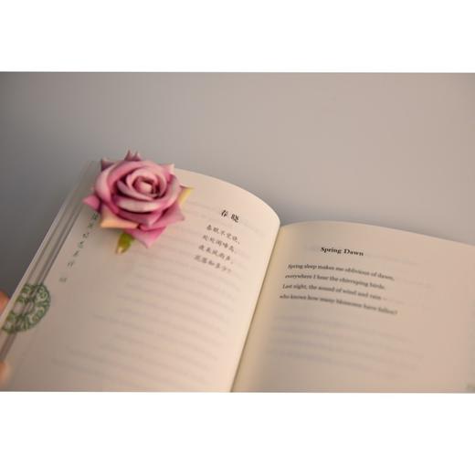 孟浩然诗选英译（中国古典文学英译丛书） 商品图1